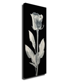 Wallity PC161 Lienzo Decorativo Multicolor 30 x 80 cm